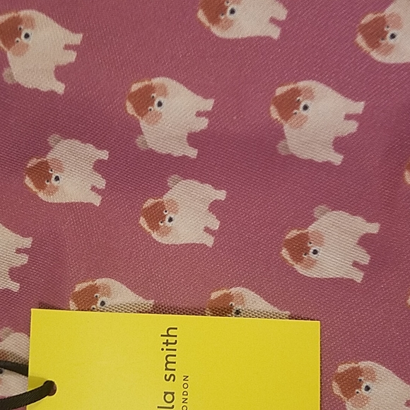 ✨Pomeranian Cosmo✨ - Picture 2 of 4